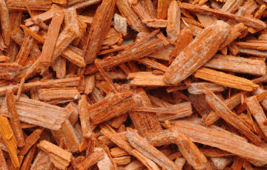 descubre los beneficios de la madera de sándalo para combatir el frizz y la rotura del cabello, logrando una melena más suave, fuerte y saludable.