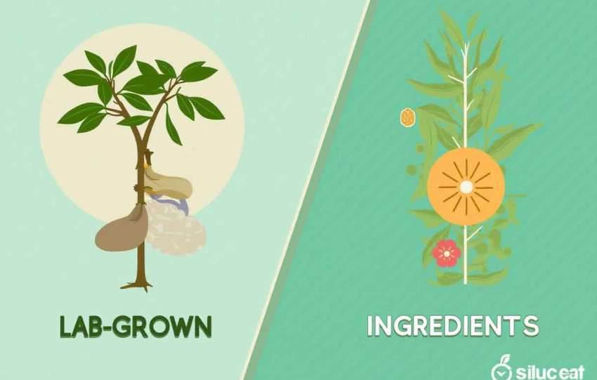 descubre biotech beauty: ingredientes innovadores del futuro disponibles hoy para una piel radiante y saludable.