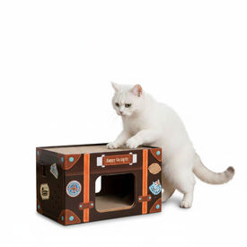 descubre los mejores gadgets para gatos: fuentes de agua y rascadores diseñados para el bienestar y diversión de tu felino.