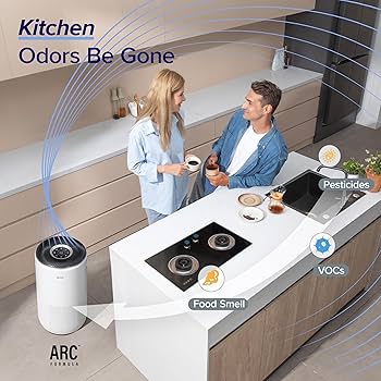 descubre los purificadores levoit para disfrutar de salud y aire puro en tu hogar. mejora la calidad del aire y protege a tu familia de contaminantes.