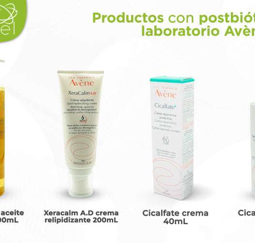 descubre las cremas probióticas para la piel que hidratan, regeneran y equilibran la barrera cutánea, mejorando tu salud y luminosidad natural.