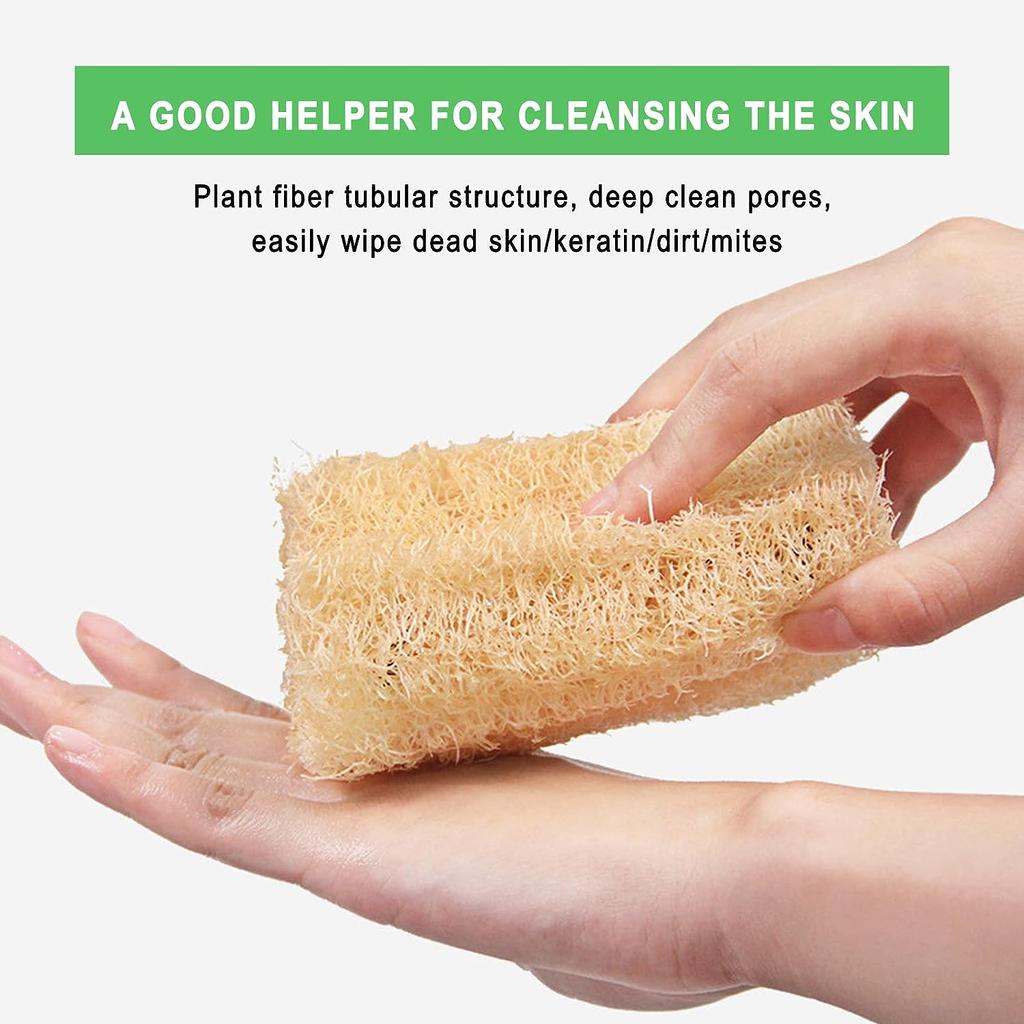 esponjas naturales de luffa para exfoliación suave y efectiva, ideales para renovar la piel y eliminar células muertas de forma natural.